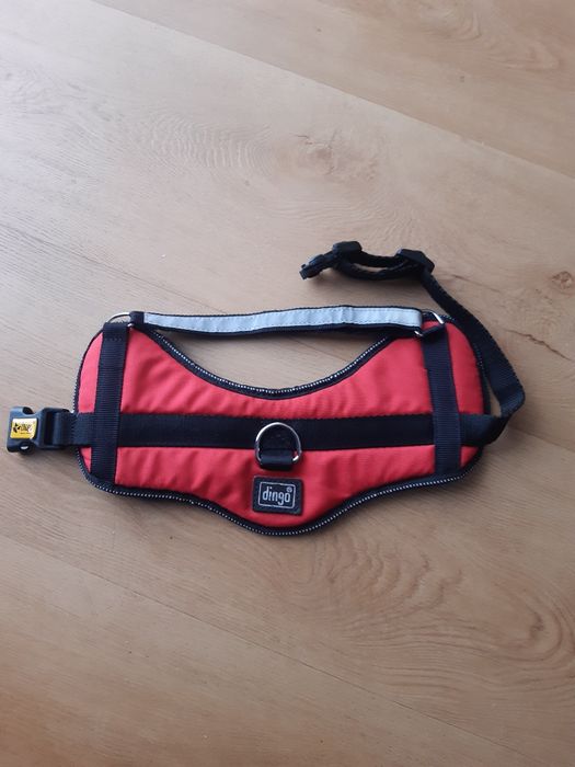 Szelki dla psa Dingo