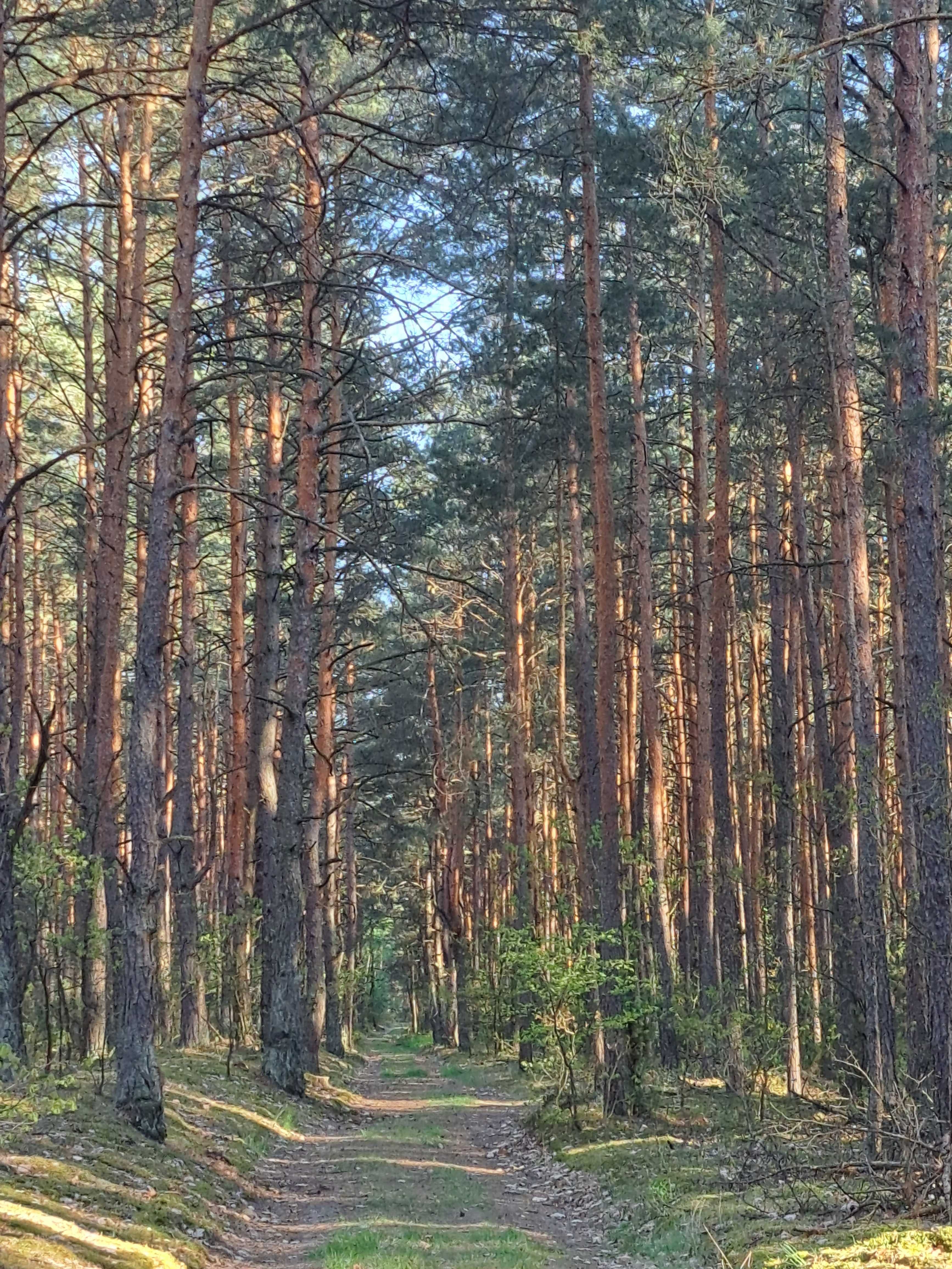 "Domek pod lasem" - letnie promocje! Nadbużański Park Krajobrazowy