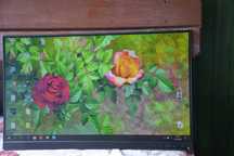 Monitor Lenovo L24i-30 rysa