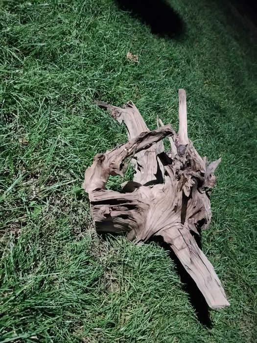 Witam na Sprzedaż mam korzenie akwariowe duże i małe
