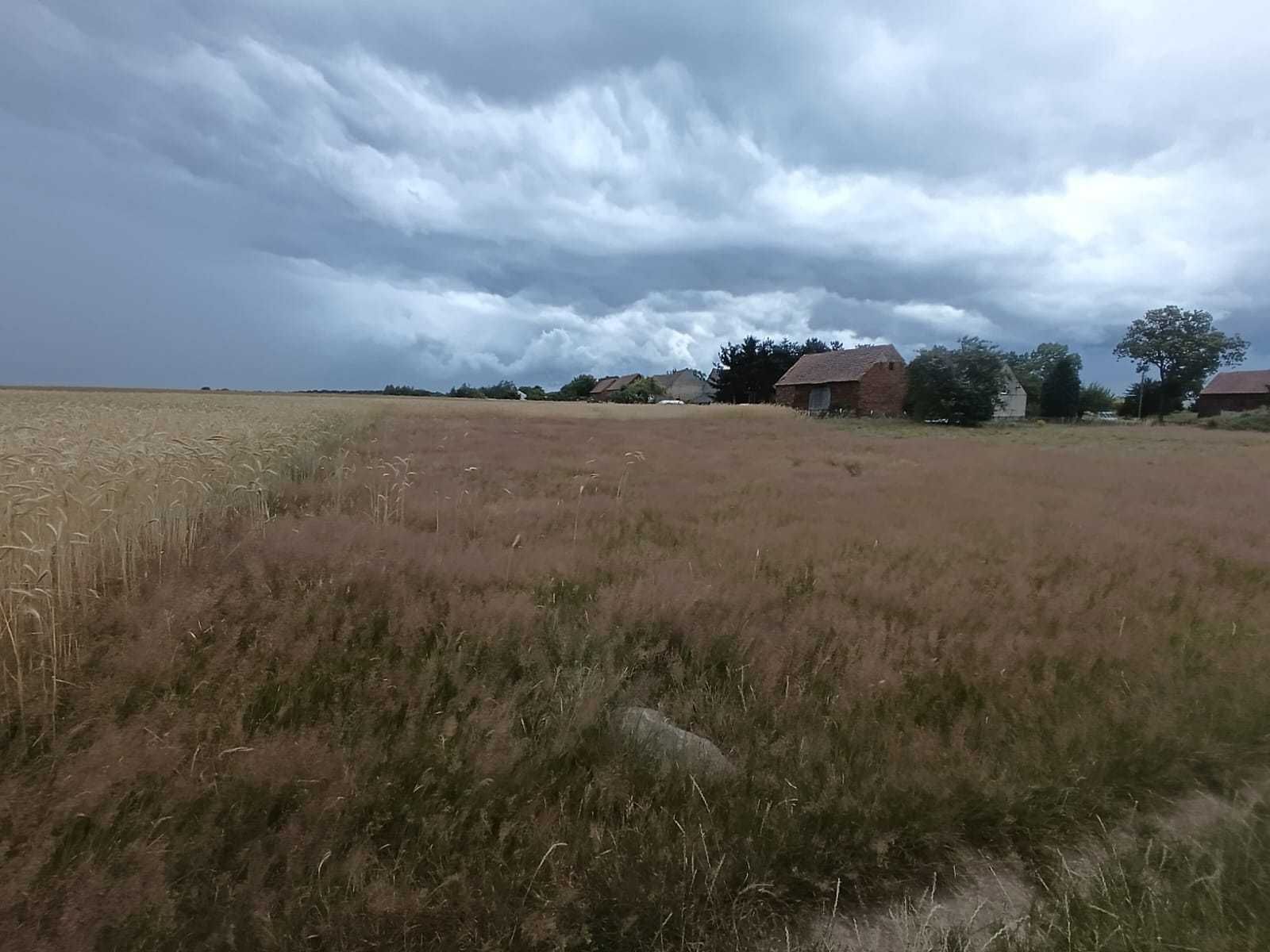 Działka Żarki Średnie 996m2