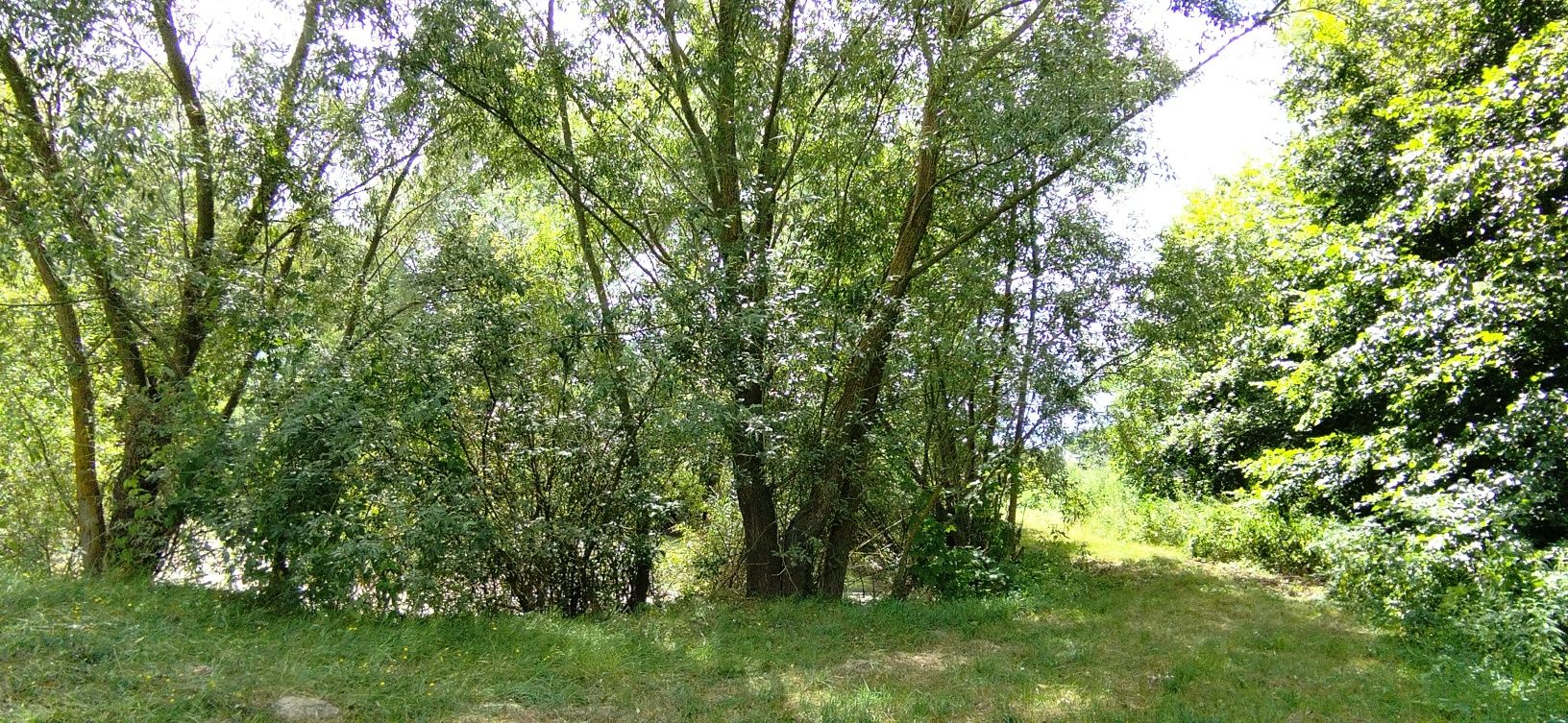 Продаж земельної ділянки під Прилуками