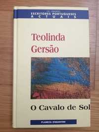 O Cavalo de Sol, de. Teolinda Gersao