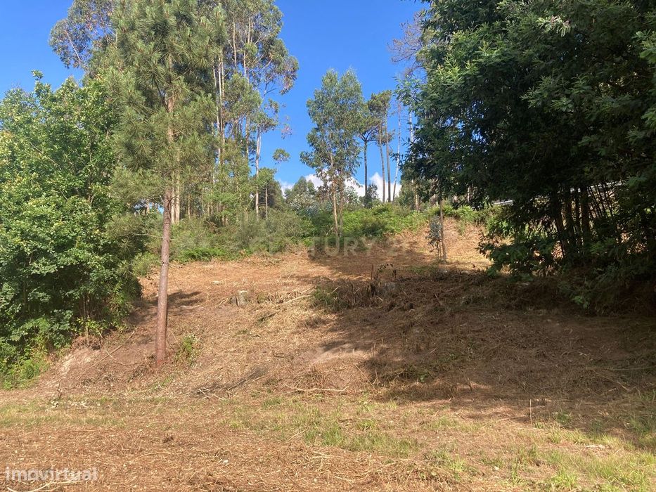 Terreno Rústico à Venda em Oldrões, Penafiel