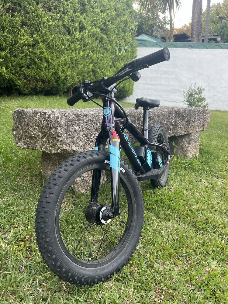 Bicicleta de criança eletrica