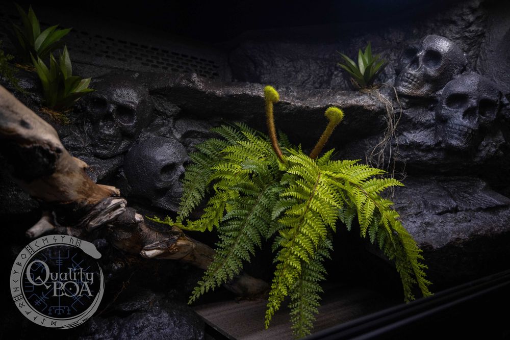 Terrarium dla węża 100x50x60