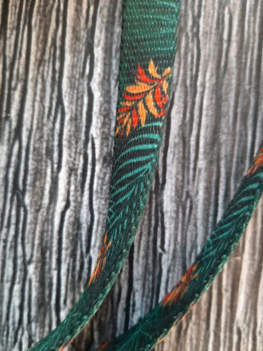 Повідець, повідок, для собачки р S, ami play