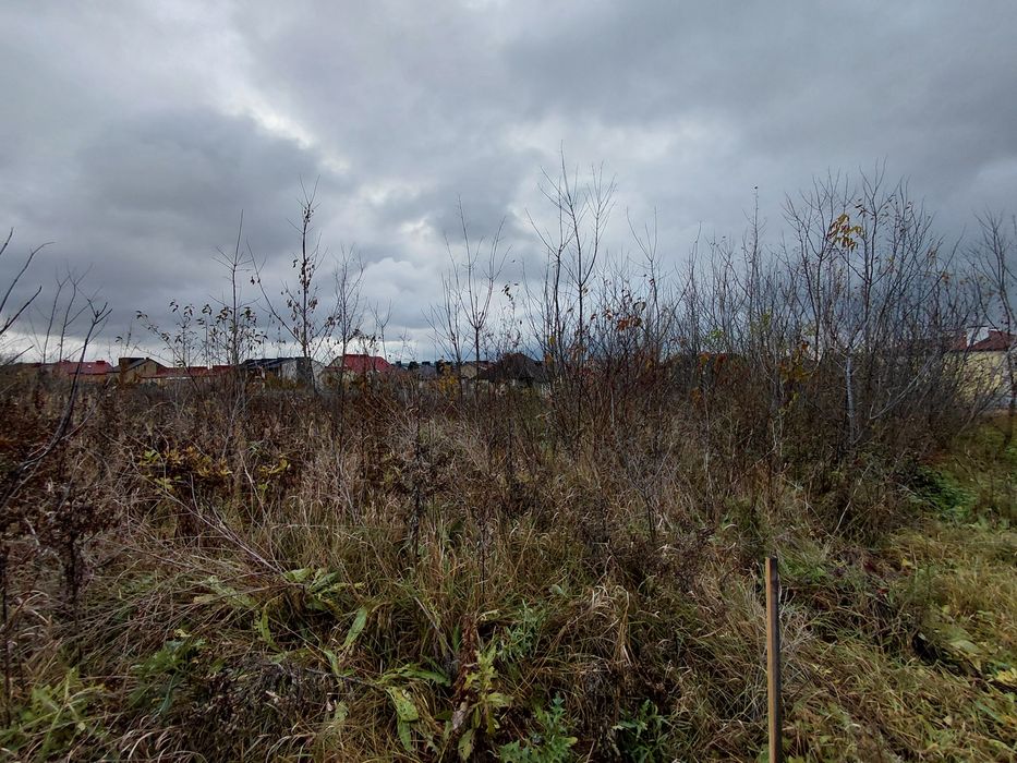 Продається земельна ділянка кленовий гай