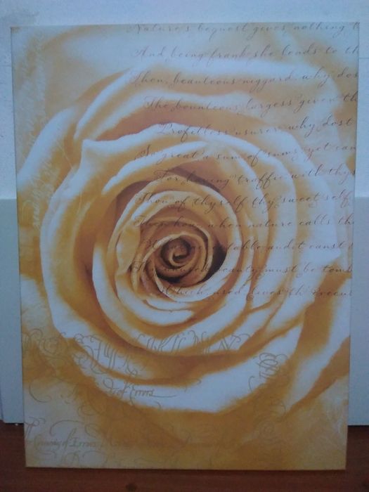 Quadros vários temas