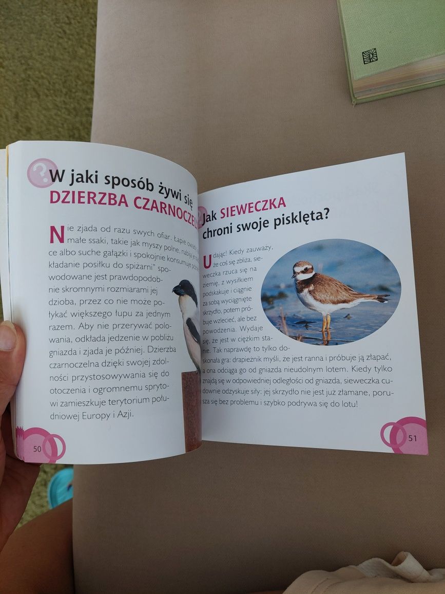 1000 pytań zwierzęta, książka