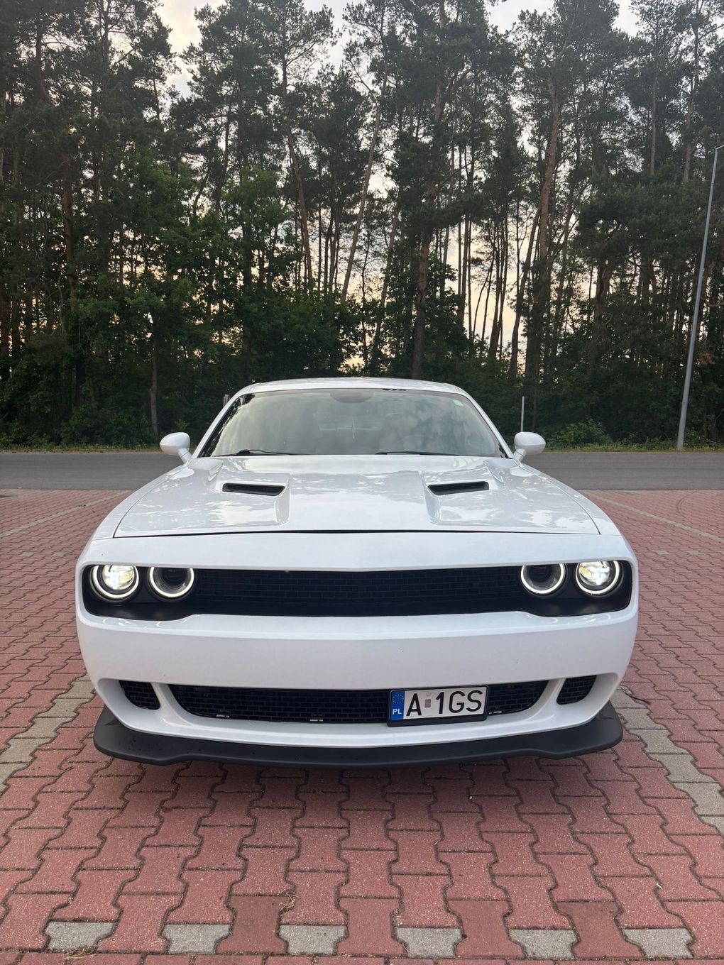 Dodge Challenger Dodge Challenger 3.6 V6 SXT PLUS