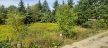 Działka budowlana- Kępa Kiełpińska(Łomianki Dolne) - 2006m