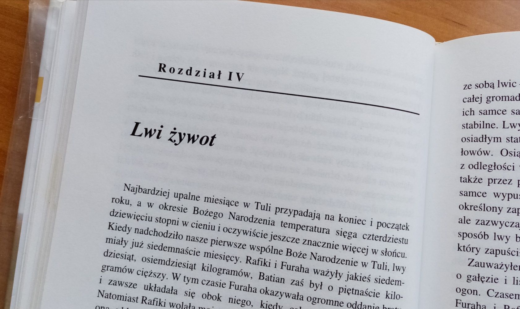 Lwy ostatnie z wolnych Gareth Patterson
