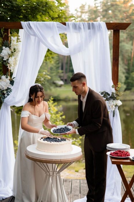 Весільна деревʼяна арка