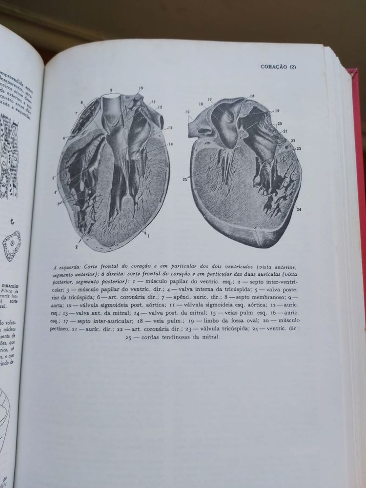 Grande Enciclopédia Portuguesa e Brasileira (40 volumes)