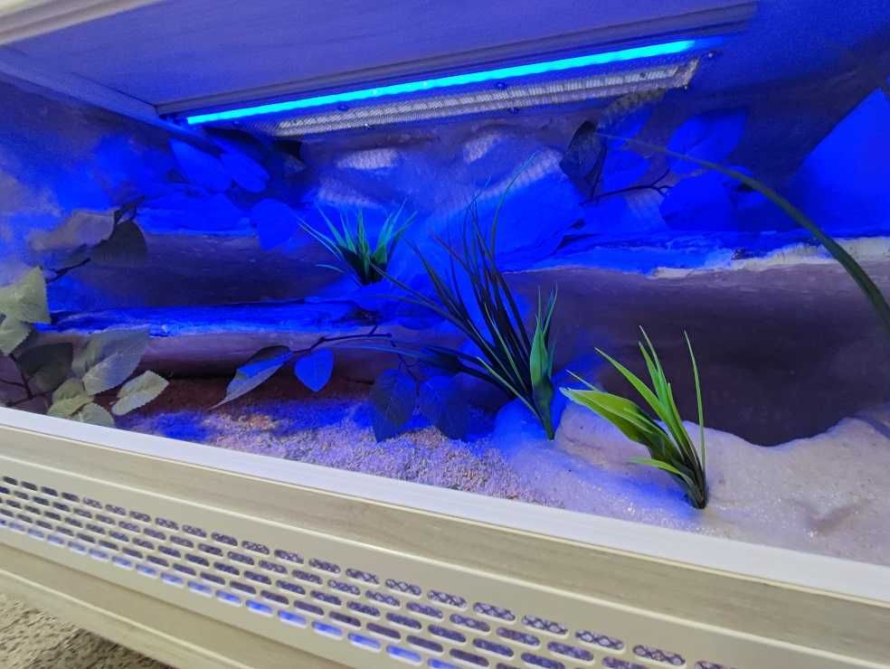 Terrarium tropikalne nr541 80/40/40 dla węża boa pyton NA ZAMÓWIENIE