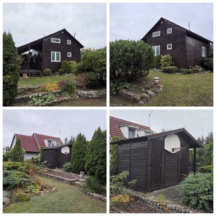 Działka ROD Szczodrochowo w bliskiej odległości od Poznania