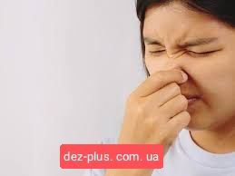 Запах уничтожить убрать удалить Уничтожение неприятного запаха уборка