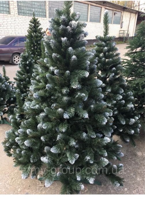 Продам ядинку засніжену  180 см