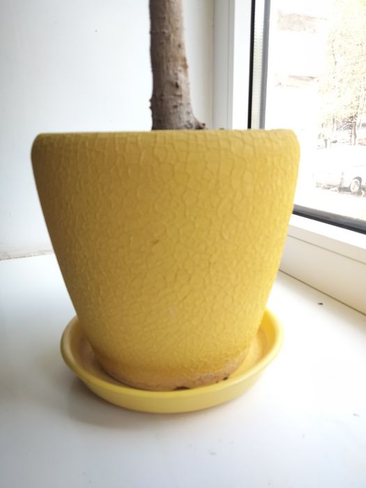 Горщики керамічні