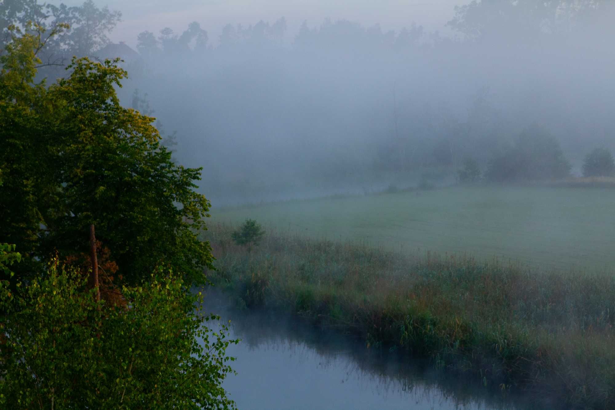 Spływy kajakowe Brdą, Wypożyczalnia KajakiRytel.pl,