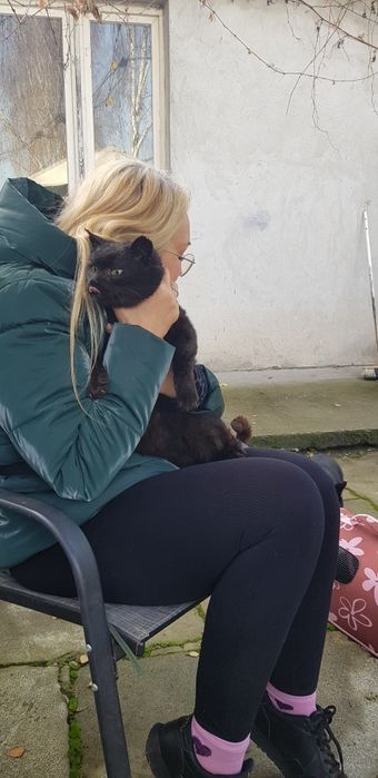 Oddam kota do adopcji