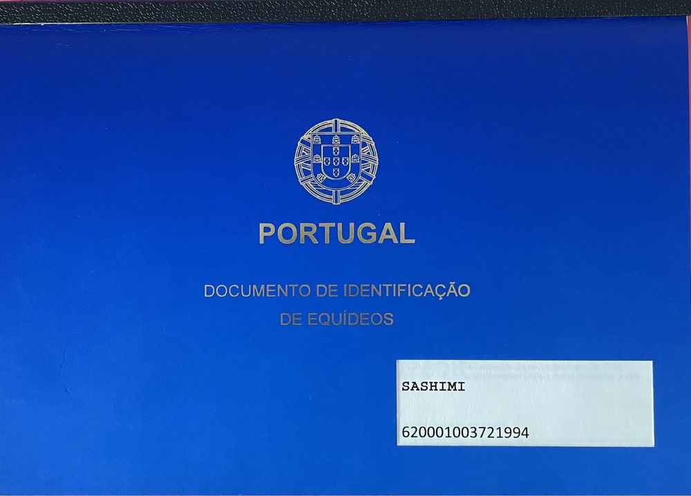 Poldro PSL Palomino Linha Don Juan
