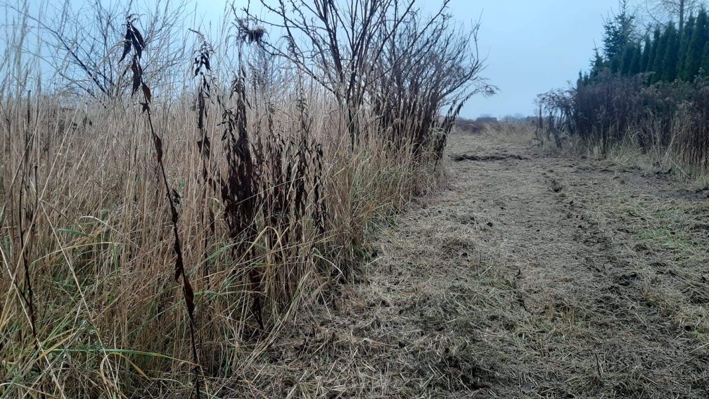 Koszenie kosiarką bijakową, prace glebogryzarką separacyjną