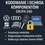Ochrona komponentu, Kodowanie, Konwersje Grupa VAG Virtual Cockpit