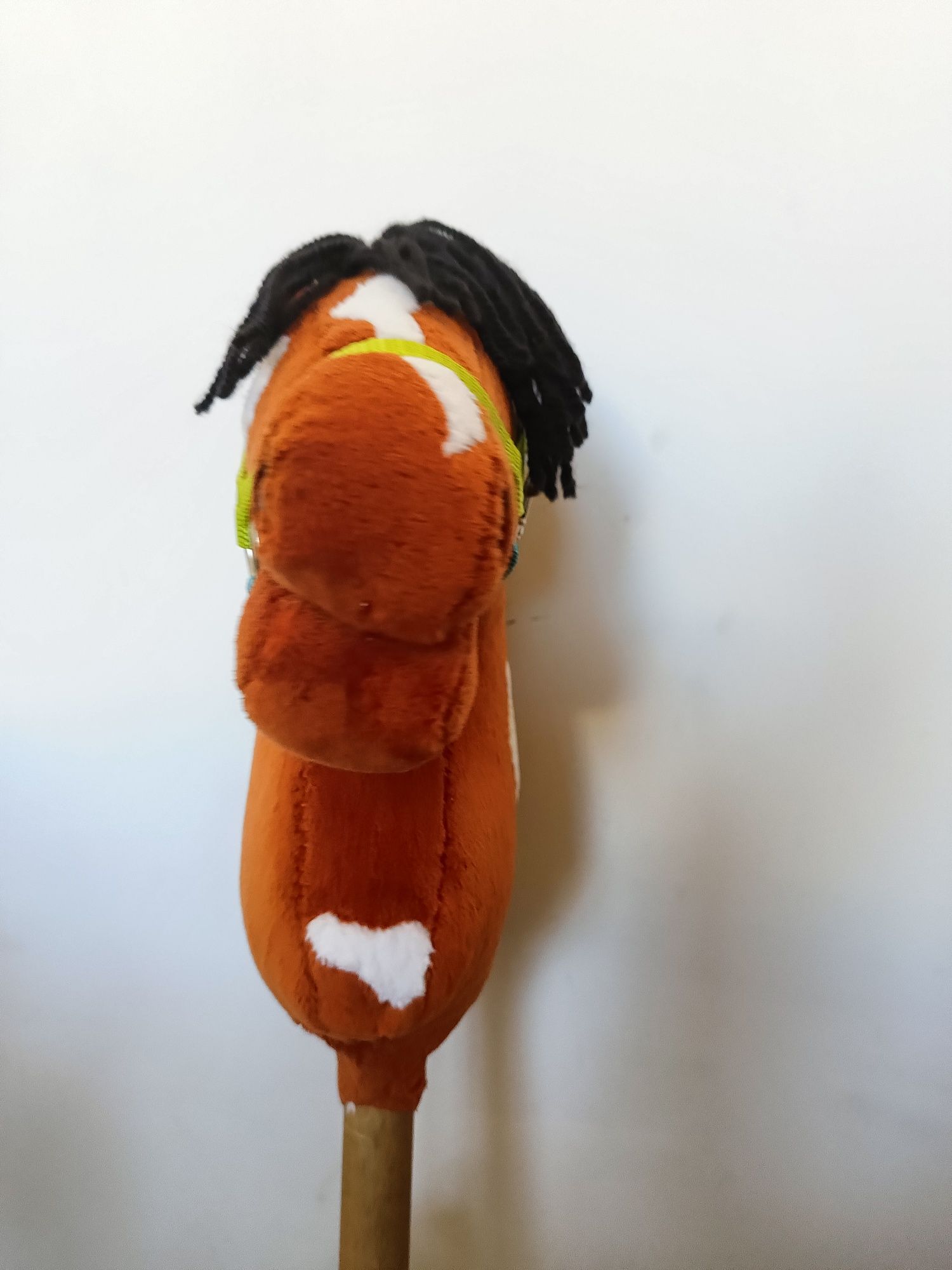 Hobby horse A4 rudy