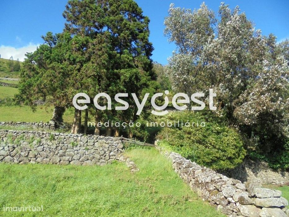 Terreno Rustico localizado em Terra-Chã Destinado a Lavoura ou Pecu...