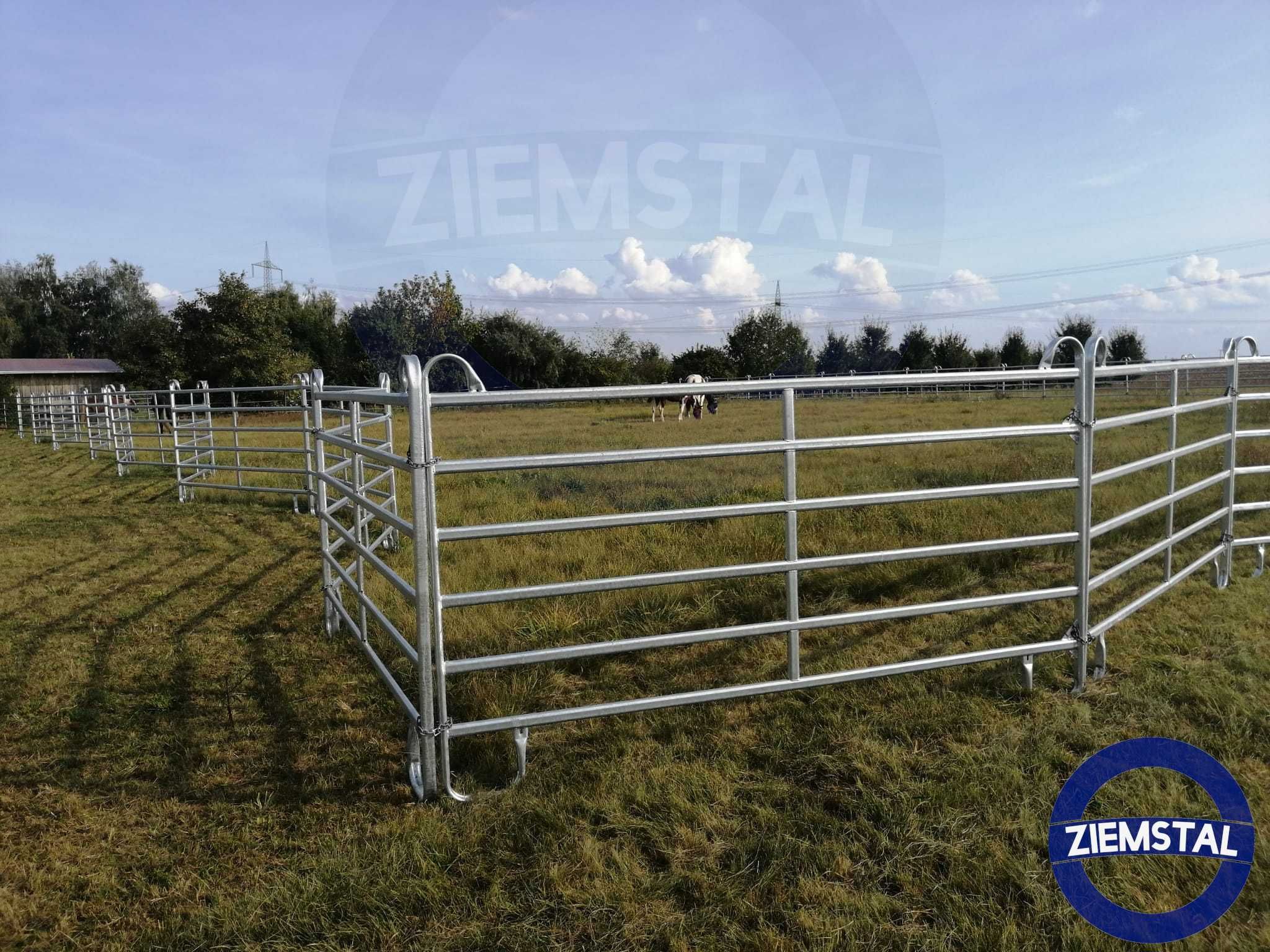 Lonżownik dla koni, roundpen dla konia, mobilny okulnik, panele texas