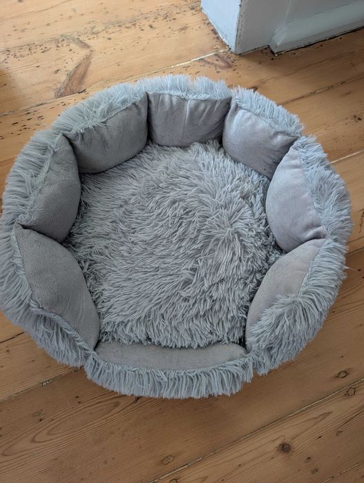 Cama cao pequeno