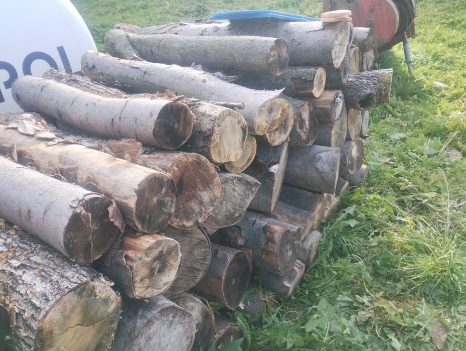 Drewno kominkowe twarde suche