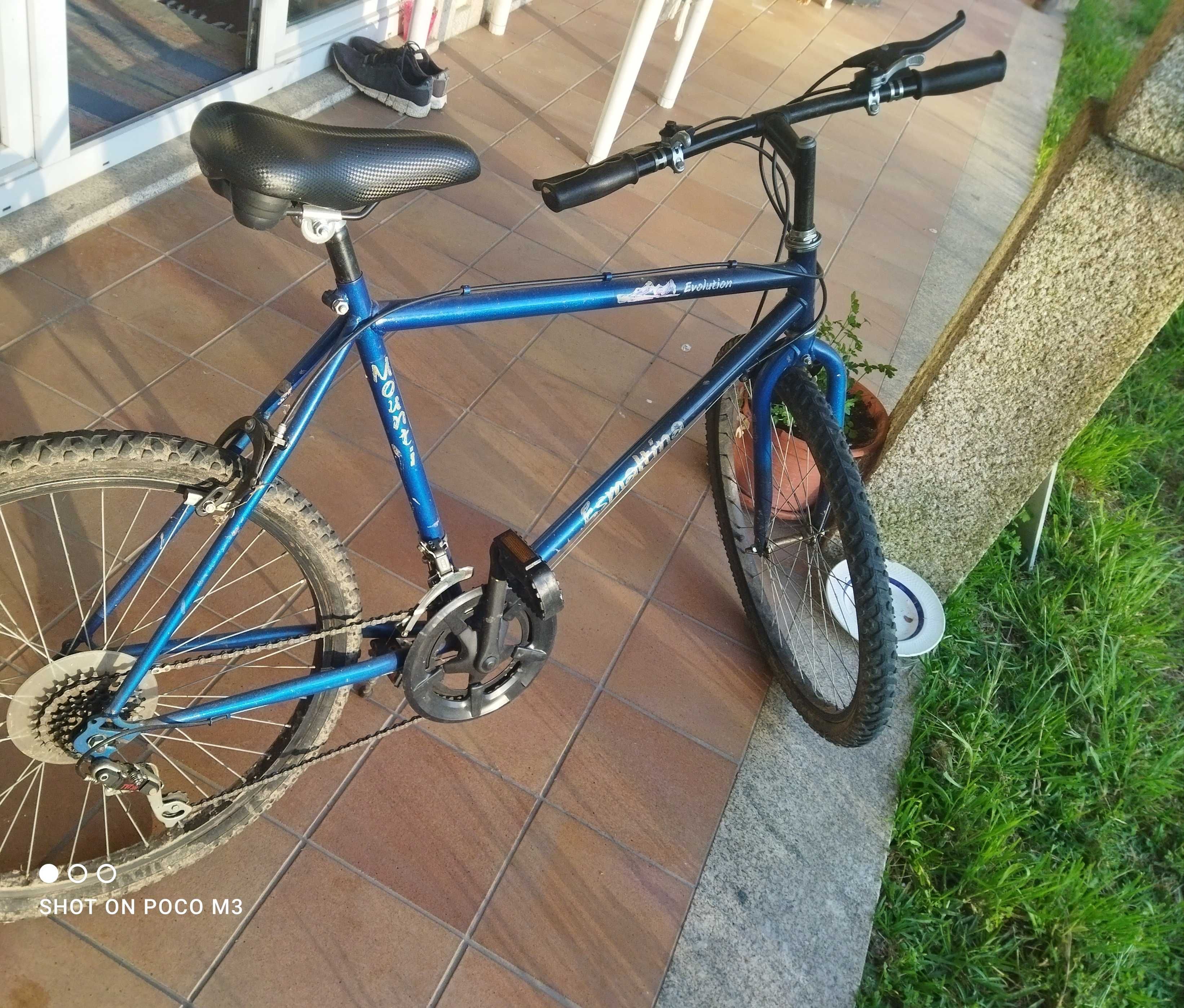 Bicicleta azul 10 euros