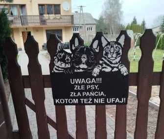 TABLICZKA PIES KOTY na furtkę ogrodzenie ostrzegawcza BULDOG francuski