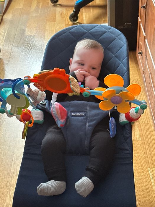 Шезлонг Baby Bjorn