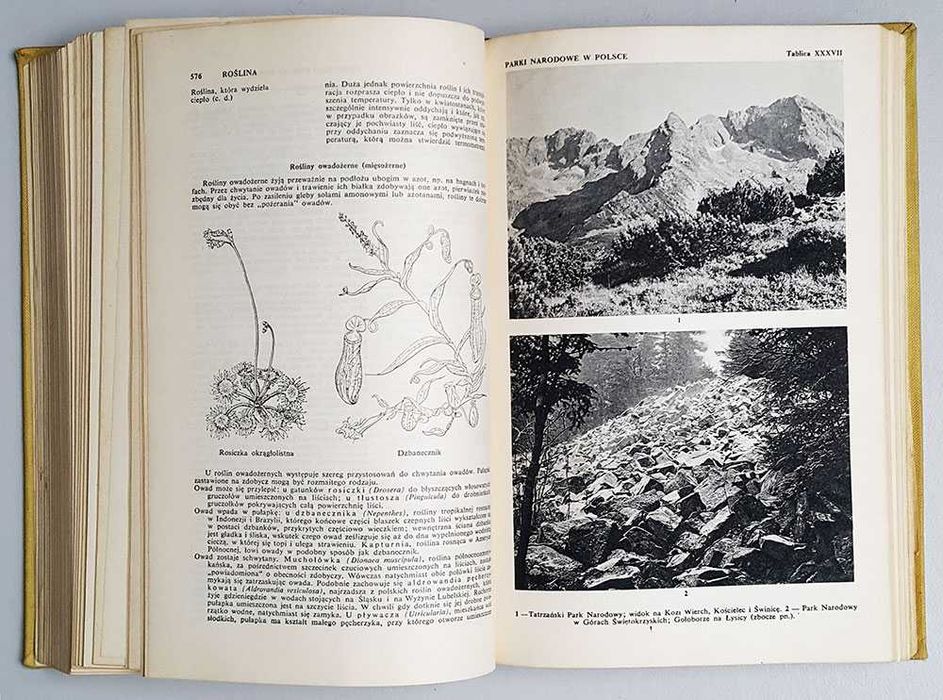 Mała encyklopedia przyrodnicza PWN Warszawa 1962