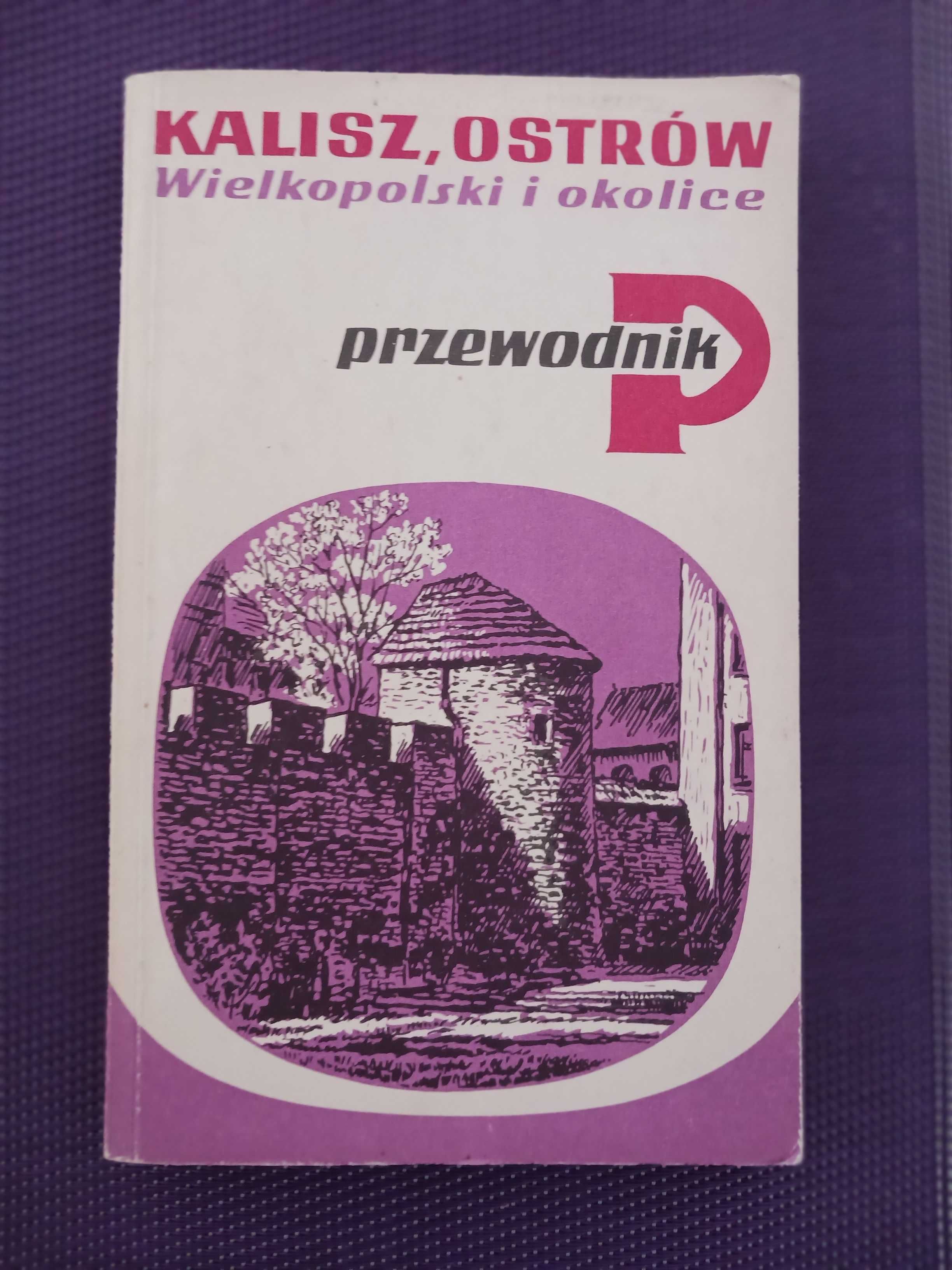Kalisz, Ostrów Wielkopolski i okolice, Przewodnik
