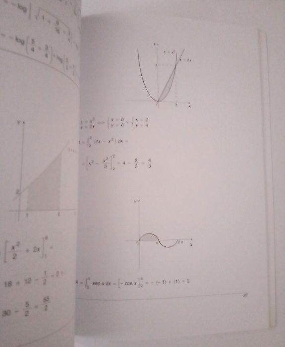 Primitivas e Integrais, de Manuel Alberto M. Ferreira e Isabel Amaral