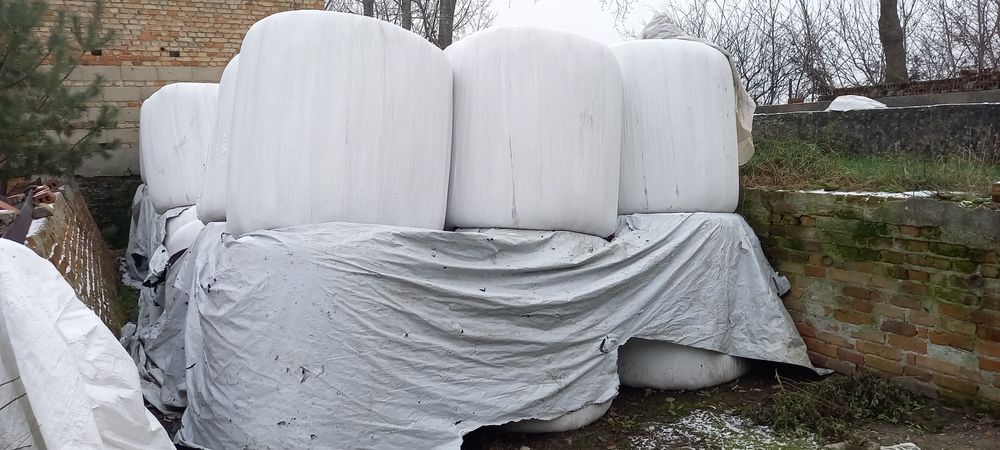 Sianokiszonka z trawy sianej Futernova 11