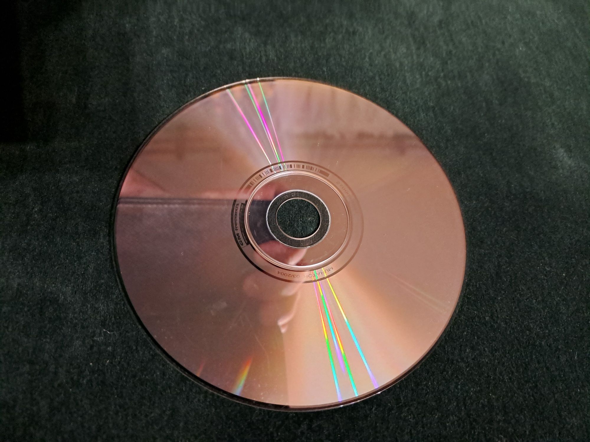 Encyklopedia roślin ogrodowych Murator 2004 CD-ROM