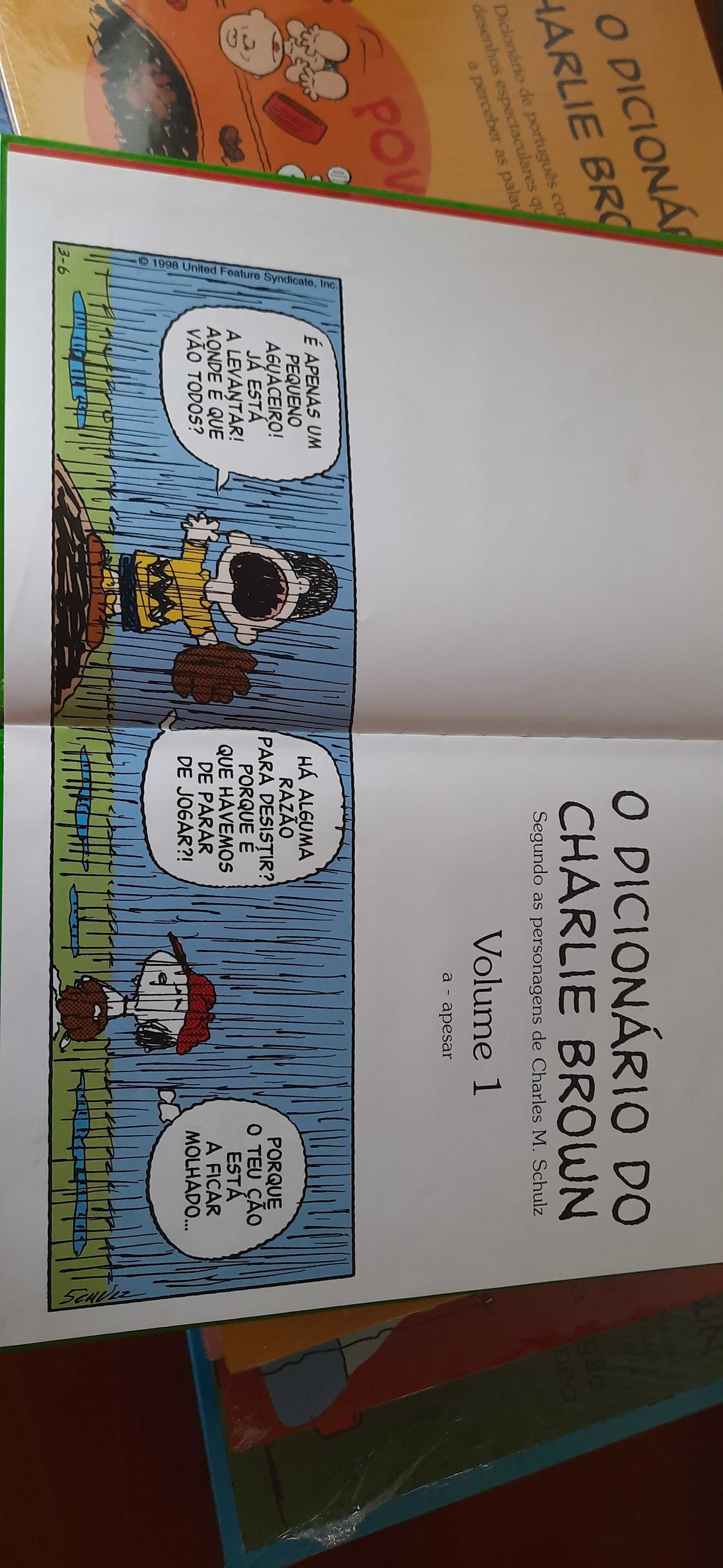 Coleção de 16 Dicionários do Charlie Brown Novos.