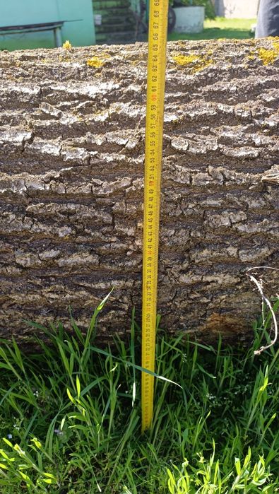 Drewno kominkowe lub dąb do dalszej obróbki