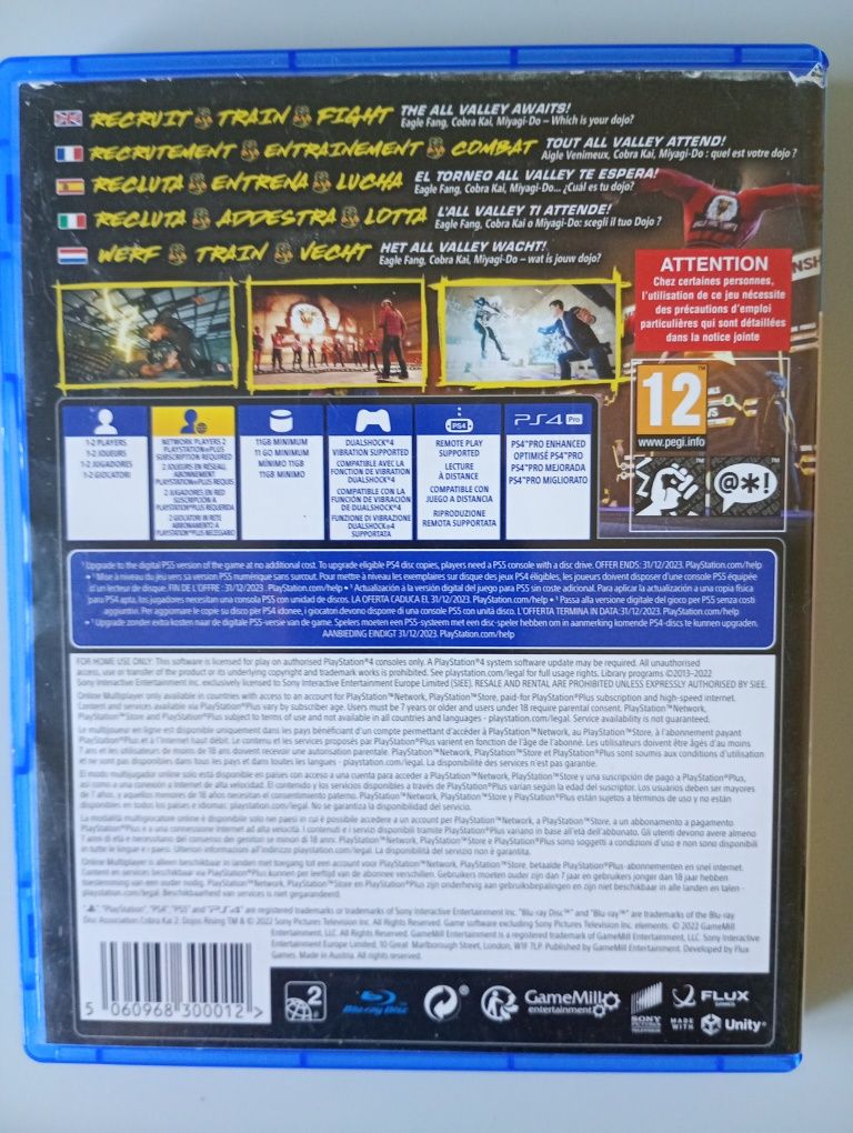 Cobra kai 2 gra na PS4