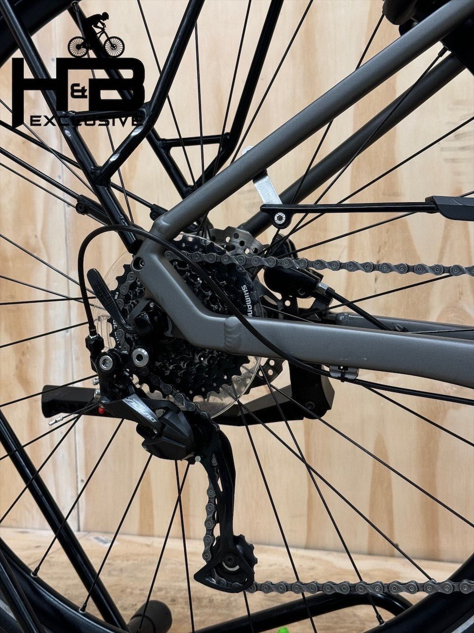 Kalkhoff Endeavour 3.B Move Shimano Alivio 2024