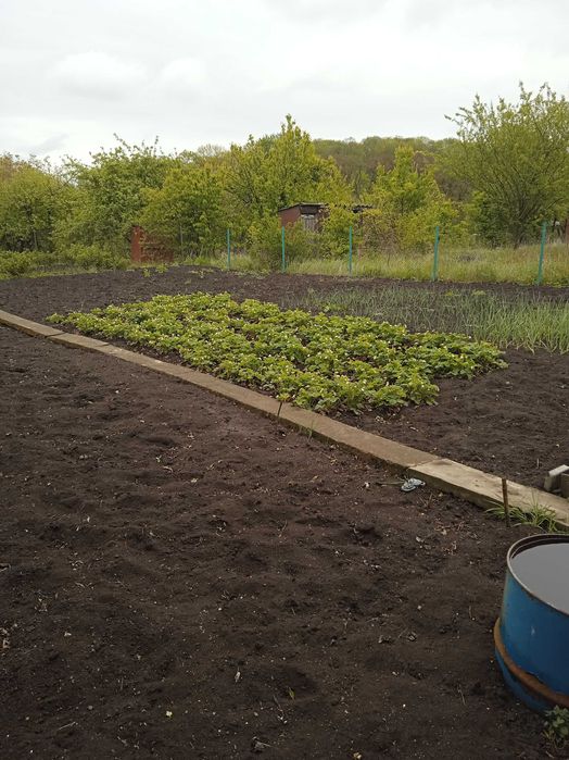 Продам дачну ділянку