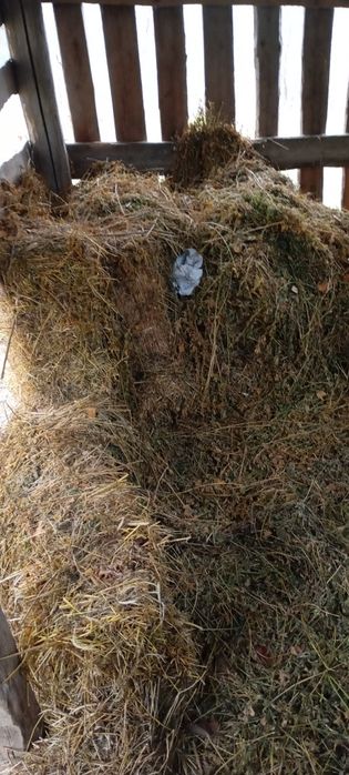 Продам сіно ціна договірна