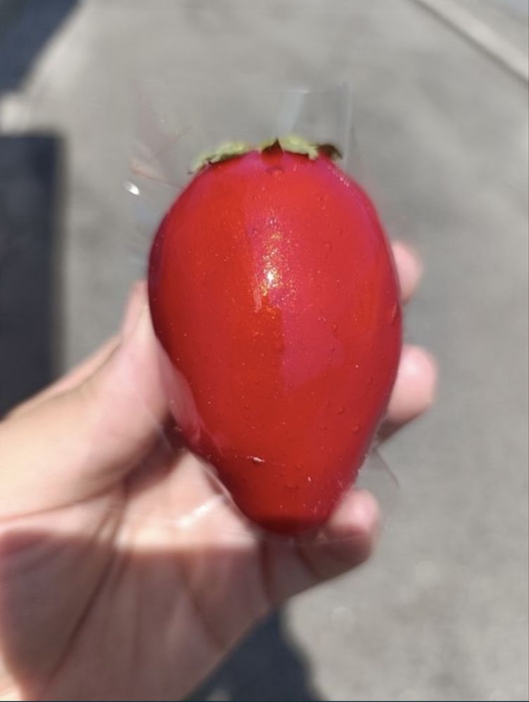 Vendo Morango do amor