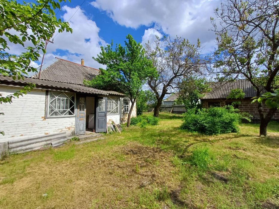 Продаж старого будинку на земельній ділянці 0,25 сот біля лісу